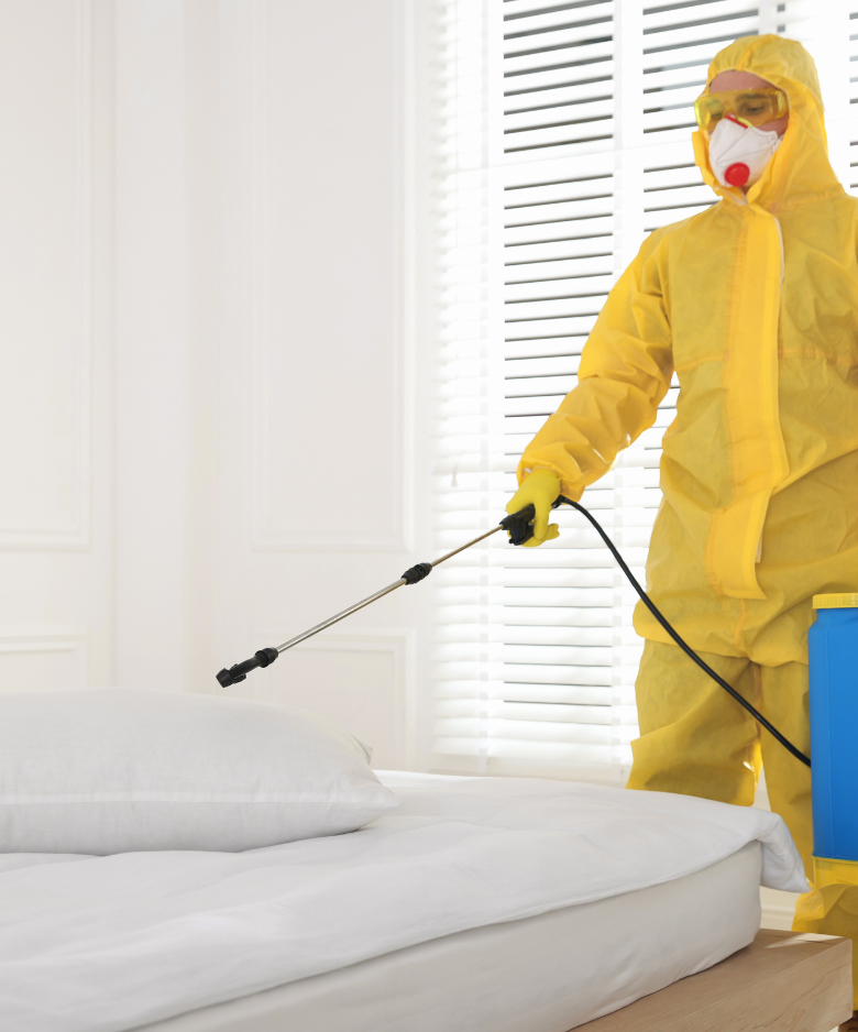 Professional Pest Control Team in Woodville Park
